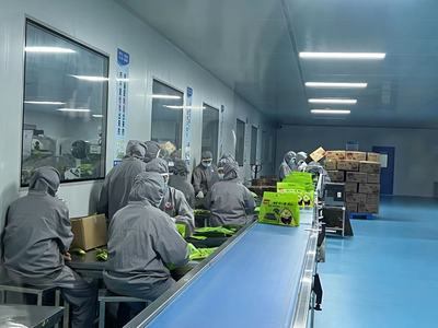 助力“小紫菜”走向“大市場”——“江蘇省內外貿認證一體化進園區”首場活動走進贛榆